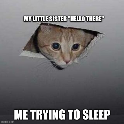 Ceiling Cat Meme | MY LITTLE SISTER "HELLO THERE"; ME TRYING TO SLEEP | image tagged in memes,ceiling cat | made w/ Imgflip meme maker