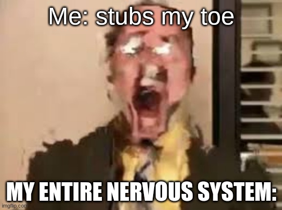 ';,fffefefaeyedgyeu | Me: stubs my toe; MY ENTIRE NERVOUS SYSTEM: | image tagged in dwight schrute | made w/ Imgflip meme maker