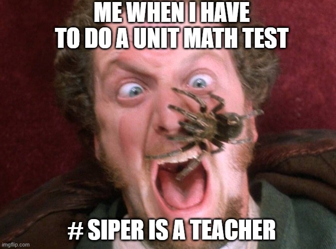 school test | ME WHEN I HAVE TO DO A UNIT MATH TEST; # SIPER IS A TEACHER | image tagged in home alone,marv | made w/ Imgflip meme maker
