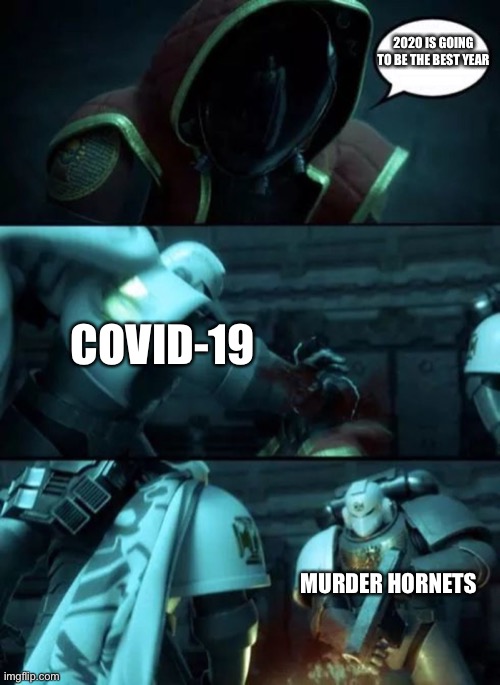 Astartes | 2020 IS GOING TO BE THE BEST YEAR COVID-19 MURDER HORNETS | image tagged in astartes | made w/ Imgflip meme maker