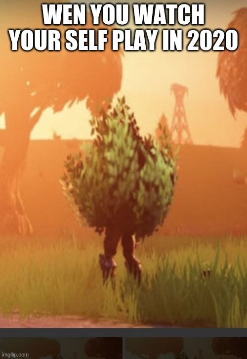 Fortnite bush | WEN YOU WATCH YOUR SELF PLAY IN 2020 | image tagged in fortnite bush | made w/ Imgflip meme maker
