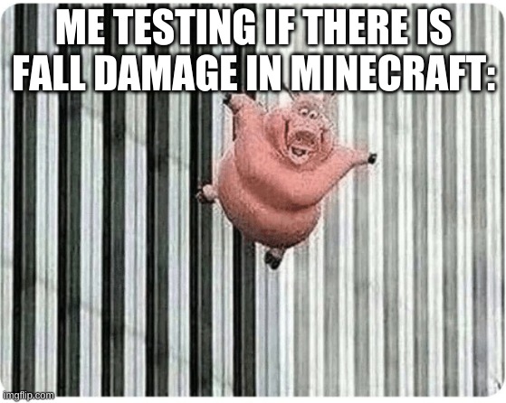 Pig jumping off | ME TESTING IF THERE IS FALL DAMAGE IN MINECRAFT: | image tagged in pig jumping off | made w/ Imgflip meme maker