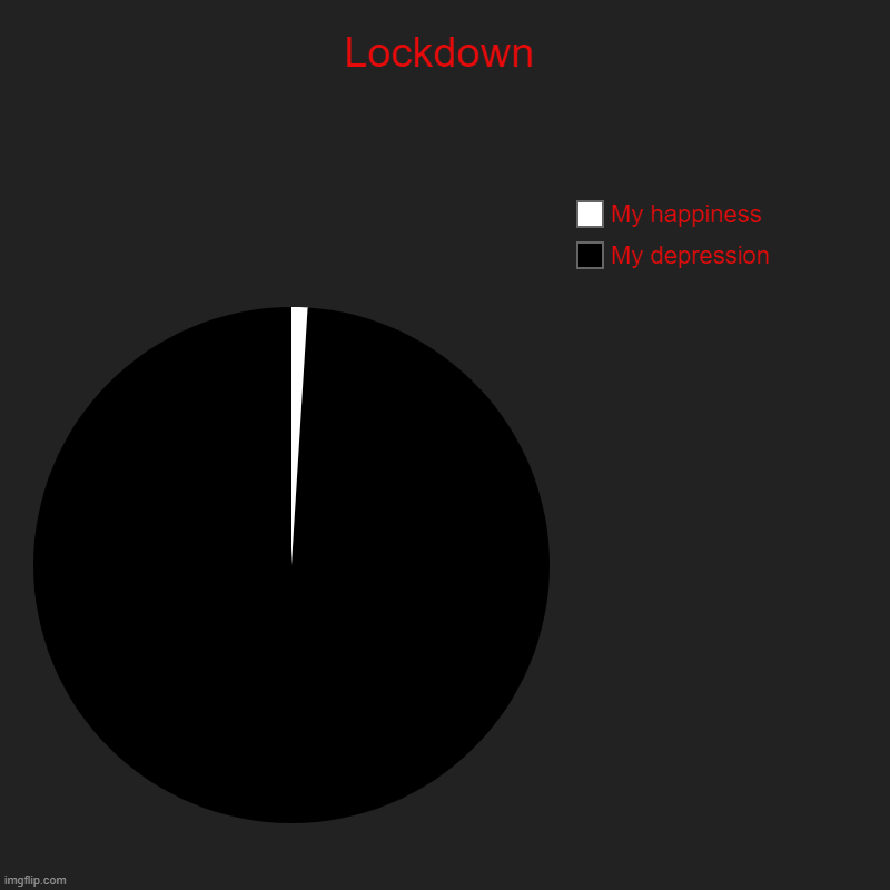 LOCKDOWN | Lockdown | My depression, My happiness | image tagged in charts,pie charts | made w/ Imgflip chart maker