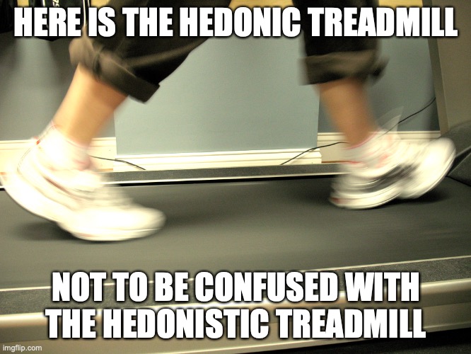 Treadmill Happy | HERE IS THE HEDONIC TREADMILL; NOT TO BE CONFUSED WITH THE HEDONISTIC TREADMILL | image tagged in happy,treadmill,memes | made w/ Imgflip meme maker