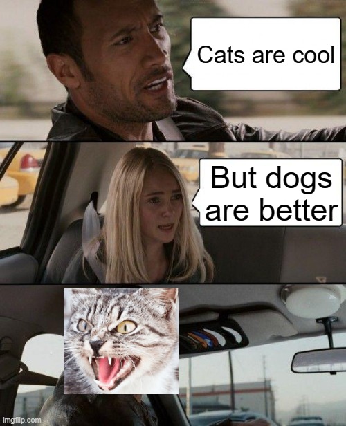 The Rock Driving | Cats are cool; But dogs are better | image tagged in memes,the rock driving | made w/ Imgflip meme maker