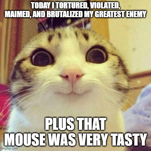 Smiling Cat | TODAY I TORTURED, VIOLATED, MAIMED, AND BRUTALIZED MY GREATEST ENEMY; PLUS THAT MOUSE WAS VERY TASTY | image tagged in memes,smiling cat | made w/ Imgflip meme maker