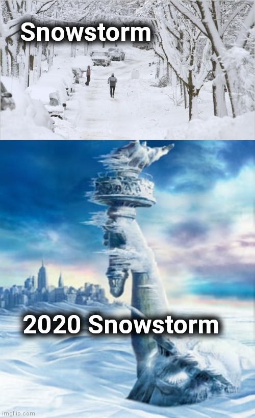The Weather said "Partly Cloudy and Cold" | Snowstorm; 2020 Snowstorm | image tagged in blizzard,what year is it,you fool you fell victim to one of the classic blunders | made w/ Imgflip meme maker
