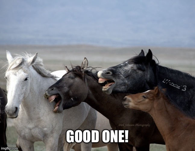 Horse Laugh | GOOD ONE! | image tagged in horse laugh | made w/ Imgflip meme maker