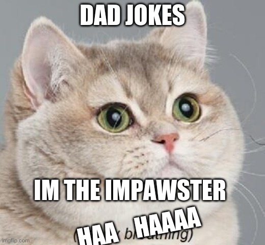 Heavy Breathing Cat Meme | DAD JOKES; IM THE IMPAWSTER; HAA    HAAAA | image tagged in memes,heavy breathing cat,cats | made w/ Imgflip meme maker