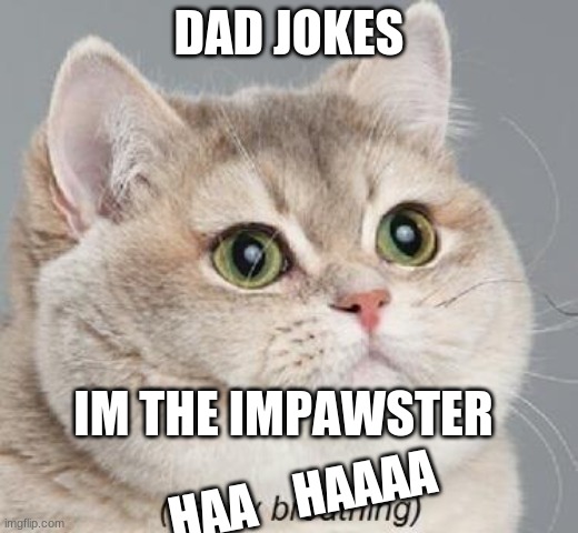 Heavy Breathing Cat | DAD JOKES; IM THE IMPAWSTER; HAA    HAAAA | image tagged in memes,heavy breathing cat,cats | made w/ Imgflip meme maker