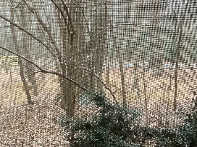 Snow is starting to pile | made w/ Imgflip meme maker