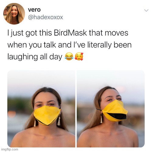 who says masking up can't be fun | image tagged in bird mask,face mask,pandemic,covid-19,coronavirus,reposts are awesome | made w/ Imgflip meme maker