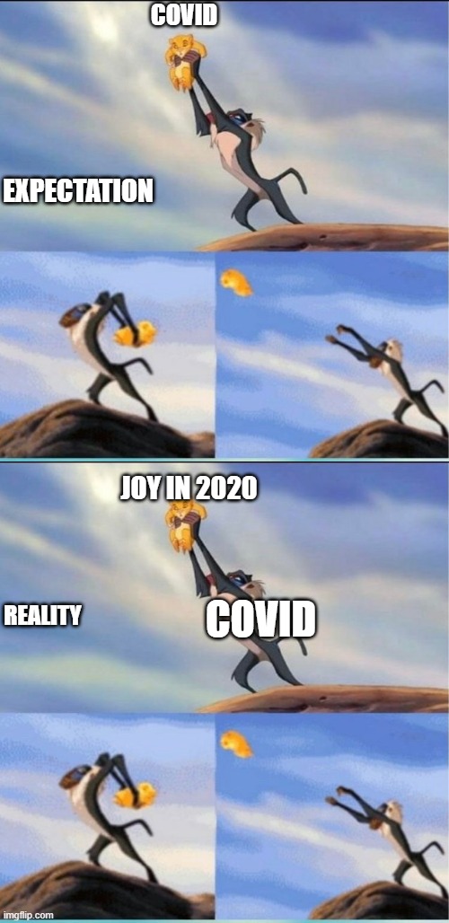 Covid, reality | COVID; EXPECTATION; JOY IN 2020; REALITY; COVID | image tagged in lion being yeeted | made w/ Imgflip meme maker