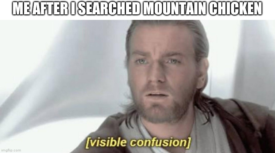 Bruh just try it and you'll get it | ME AFTER I SEARCHED MOUNTAIN CHICKEN | image tagged in visible confusion | made w/ Imgflip meme maker