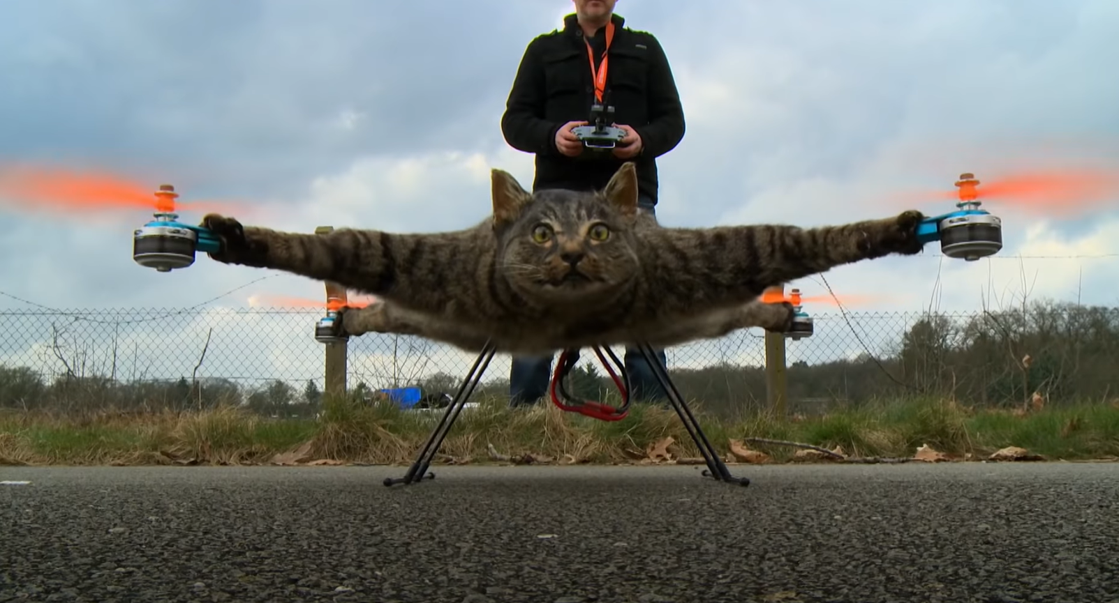 High Quality cat drone Blank Meme Template