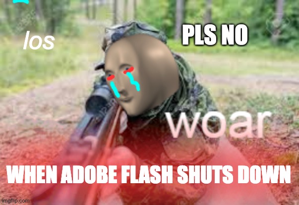 woar | PLS NO; los; WHEN ADOBE FLASH SHUTS DOWN | image tagged in woar | made w/ Imgflip meme maker
