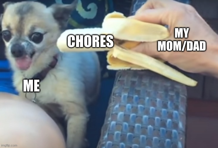 angry dog | CHORES; MY MOM/DAD; ME | image tagged in angry dog | made w/ Imgflip meme maker