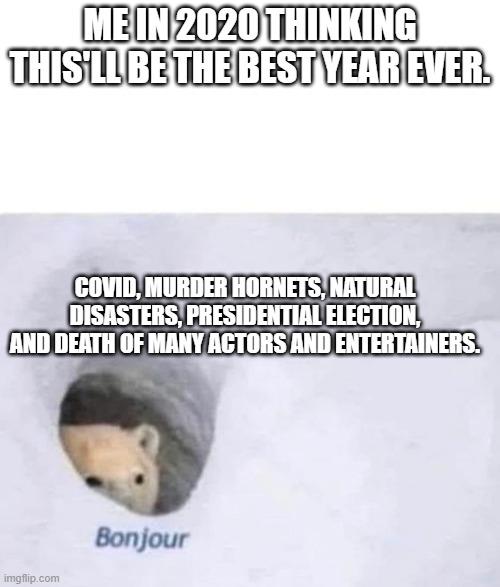 Bonjour | ME IN 2020 THINKING THIS'LL BE THE BEST YEAR EVER. COVID, MURDER HORNETS, NATURAL DISASTERS, PRESIDENTIAL ELECTION, AND DEATH OF MANY ACTORS AND ENTERTAINERS. | image tagged in bonjour | made w/ Imgflip meme maker