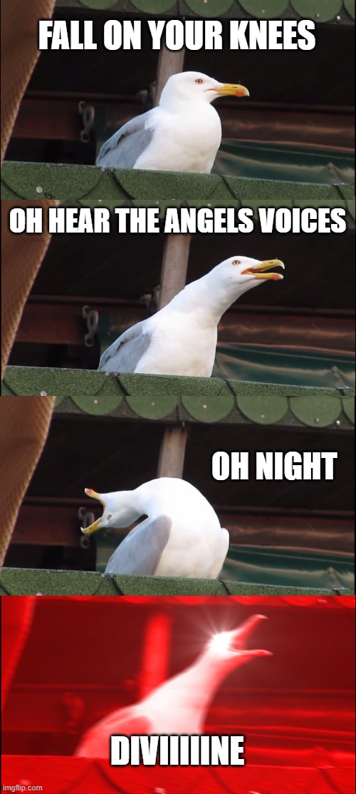 Inhaling Seagull | FALL ON YOUR KNEES; OH HEAR THE ANGELS VOICES; OH NIGHT; DIVIIIIINE | image tagged in memes,inhaling seagull | made w/ Imgflip meme maker