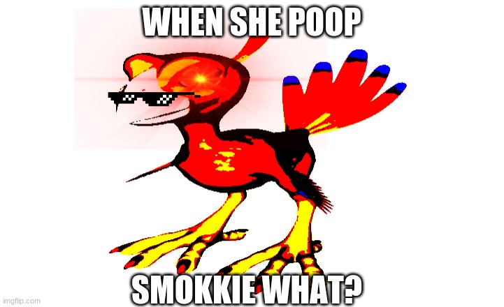 WHEN SHE POOP; SMOKKIE WHAT? | image tagged in bird | made w/ Imgflip meme maker