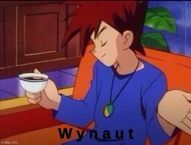 W y n a u t | made w/ Imgflip meme maker