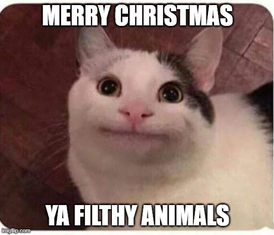 Polite Cat | MERRY CHRISTMAS; YA FILTHY ANIMALS | image tagged in polite cat | made w/ Imgflip meme maker