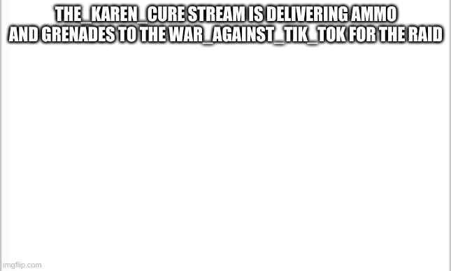white background | THE_KAREN_CURE STREAM IS DELIVERING AMMO AND GRENADES TO THE WAR_AGAINST_TIK_TOK FOR THE RAID | image tagged in white background | made w/ Imgflip meme maker