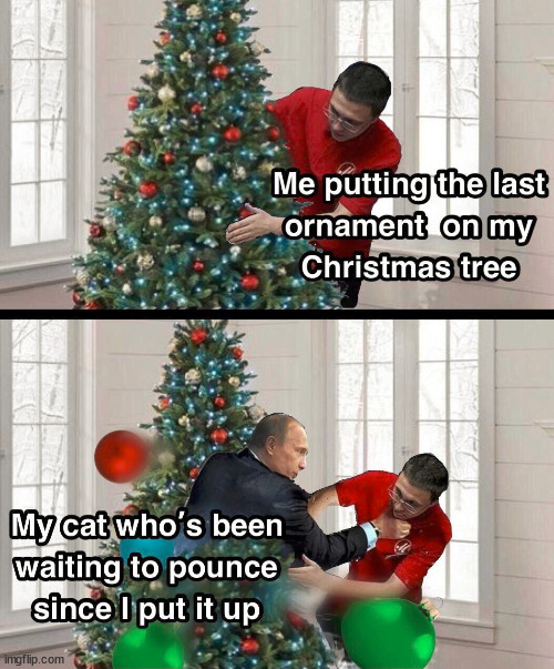 image tagged in cats | made w/ Imgflip meme maker