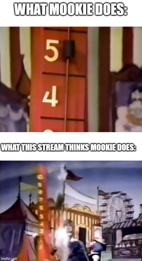 Pole: Deleted | WHAT MOOKIE DOES:; WHAT THIS STREAM THINKS MOOKIE DOES: | image tagged in blank white template | made w/ Imgflip meme maker