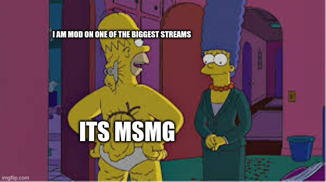 I AM MOD ON ONE OF THE BIGGEST STREAMS; ITS MSMG | made w/ Imgflip meme maker