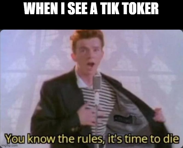 You know the rules, it's time to die | WHEN I SEE A TIK TOKER | image tagged in you know the rules it's time to die,tik tok sucks | made w/ Imgflip meme maker