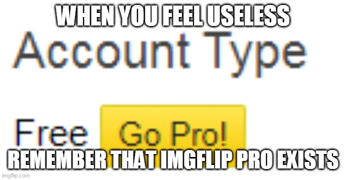 I can't think about anyone using Imgflip Pro | WHEN YOU FEEL USELESS; REMEMBER THAT IMGFLIP PRO EXISTS | image tagged in imgflip,useless,memes | made w/ Imgflip meme maker