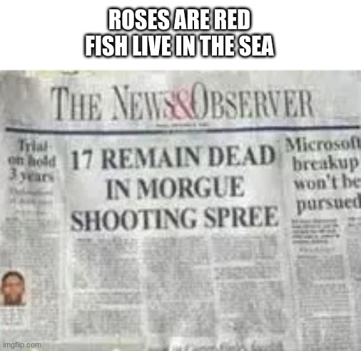 ROSES ARE RED
FISH LIVE IN THE SEA | image tagged in memes | made w/ Imgflip meme maker