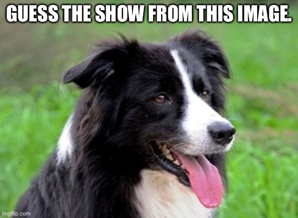 GUESS THE SHOW FROM THIS IMAGE. | made w/ Imgflip meme maker
