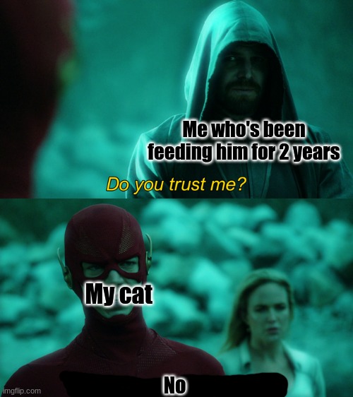 Do you trust me? | Me who's been feeding him for 2 years; My cat; No | image tagged in do you trust me | made w/ Imgflip meme maker
