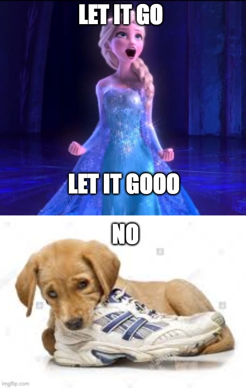LET IT GO; LET IT GOOO; NO | image tagged in let it go | made w/ Imgflip meme maker