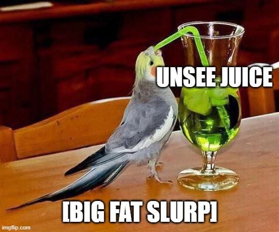 big sip bird | UNSEE JUICE [BIG FAT SLURP] | image tagged in big sip bird | made w/ Imgflip meme maker