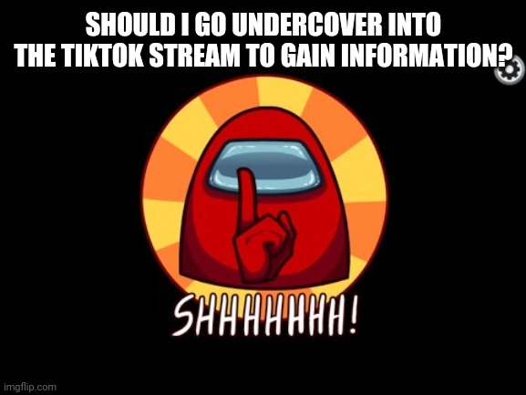 Should I? | SHOULD I GO UNDERCOVER INTO THE TIKTOK STREAM TO GAIN INFORMATION? | image tagged in among us shhhhhh | made w/ Imgflip meme maker
