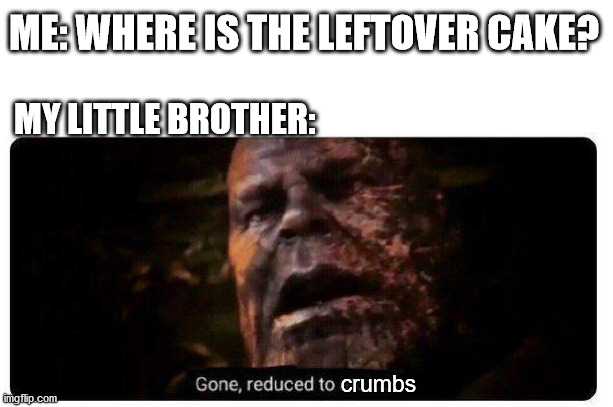 gone. | ME: WHERE IS THE LEFTOVER CAKE? MY LITTLE BROTHER:; crumbs | image tagged in gone reduced to atoms | made w/ Imgflip meme maker