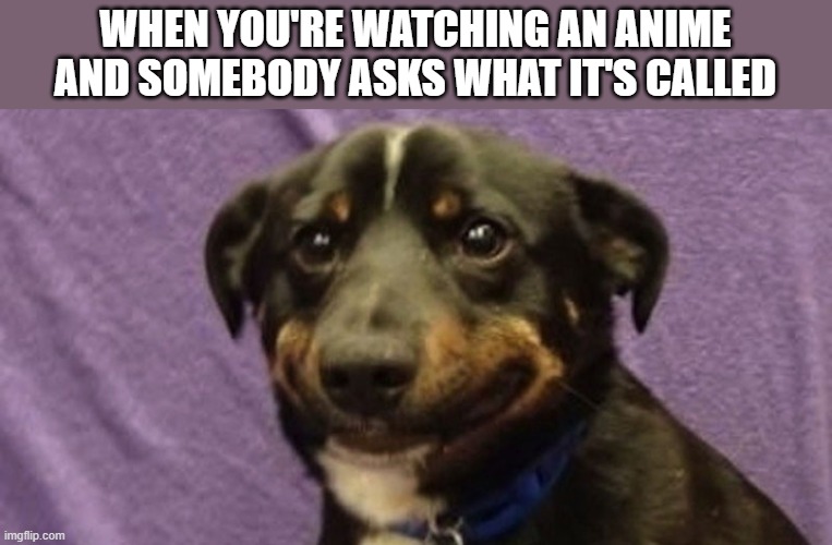 Let me just watch in peace pls | WHEN YOU'RE WATCHING AN ANIME AND SOMEBODY ASKS WHAT IT'S CALLED | image tagged in anxiety dog,anime,memes,funny,anxiety | made w/ Imgflip meme maker