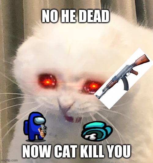 none kills my friend. | NO HE DEAD; NOW CAT KILL YOU | image tagged in screaming crying cat | made w/ Imgflip meme maker