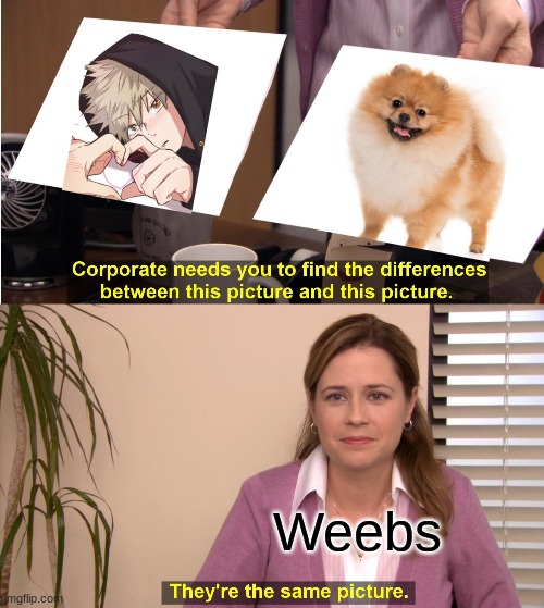 It's true tho | Weebs | image tagged in memes,they're the same picture | made w/ Imgflip meme maker