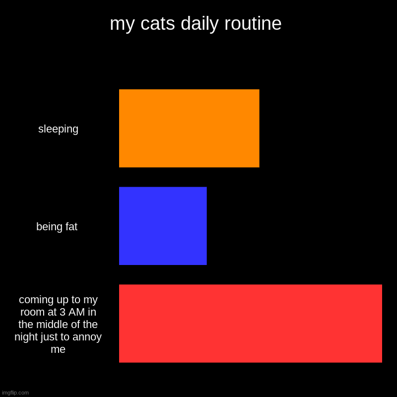 My fat cats routine | my cats daily routine | sleeping, being fat , coming up to my room at 3 AM in the middle of the night just to annoy me | image tagged in charts,bar charts | made w/ Imgflip chart maker