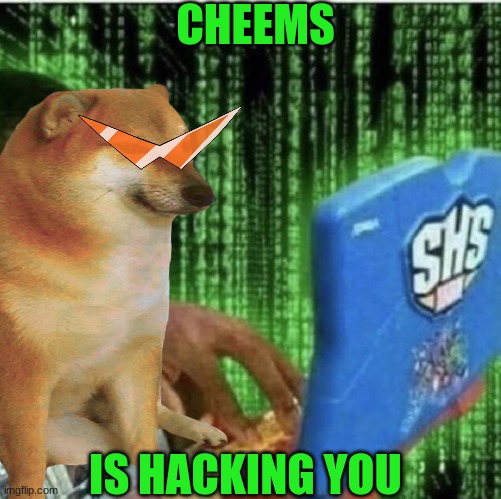 doge | CHEEMS; IS HACKING YOU | image tagged in doge | made w/ Imgflip meme maker