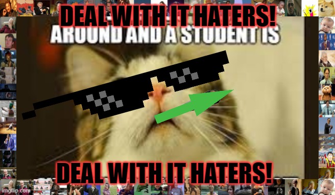 COVID-19 | DEAL WITH IT HATERS! DEAL WITH IT HATERS! | image tagged in covid-19 | made w/ Imgflip meme maker