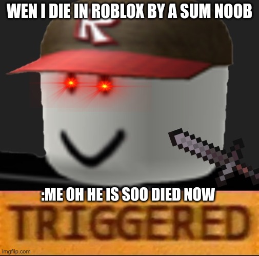 Roblox Triggered | WEN I DIE IN ROBLOX BY A SUM NOOB; :ME OH HE IS SOO DIED NOW | image tagged in roblox triggered | made w/ Imgflip meme maker