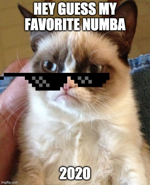 Grumpy Cat | HEY GUESS MY FAVORITE NUMBA; 2020 | image tagged in memes,grumpy cat | made w/ Imgflip meme maker