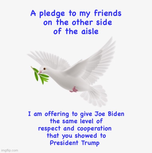 What goes around... | A pledge to my friends
 on the other side
 of the aisle; I am offering to give Joe Biden
the same level of
respect and cooperation 
that you showed to
President Trump | image tagged in joe biden,trump | made w/ Imgflip meme maker