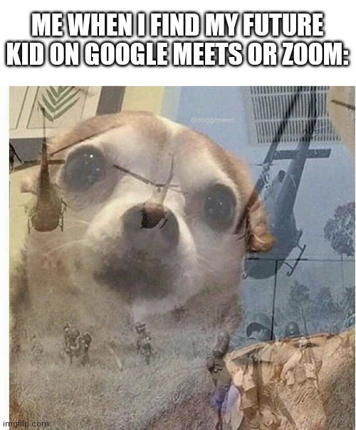 PTSD Chihuahua | ME WHEN I FIND MY FUTURE KID ON GOOGLE MEETS OR ZOOM: | image tagged in ptsd chihuahua | made w/ Imgflip meme maker