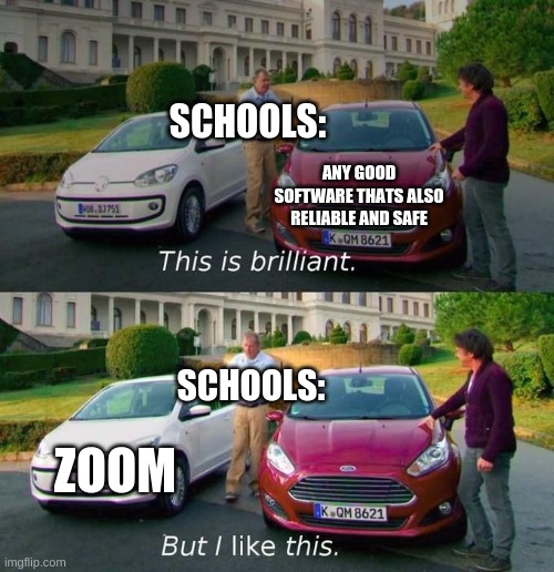 This Is Brilliant But I Like This | ANY GOOD SOFTWARE THATS ALSO RELIABLE AND SAFE ZOOM SCHOOLS: SCHOOLS: | image tagged in this is brilliant but i like this | made w/ Imgflip meme maker